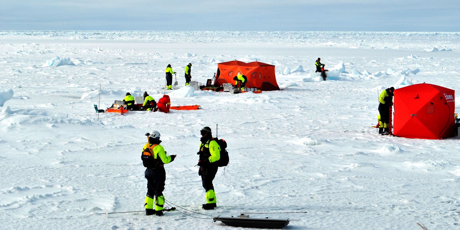 Community-wide Engagement