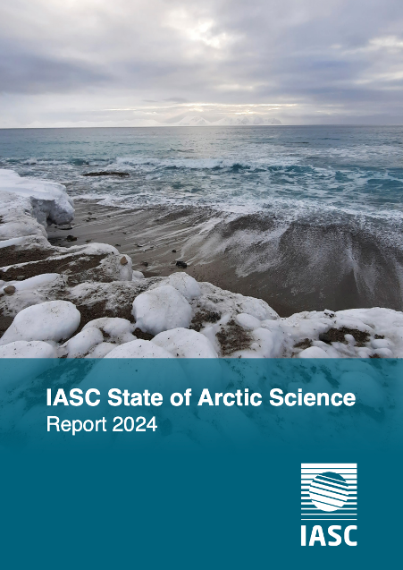 SAS Report 2024 Cover